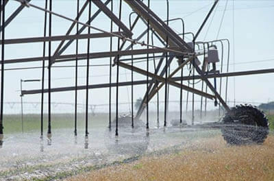 A center-pivot sprinkler with precision application drop nozzles irrigates cotton in Texas