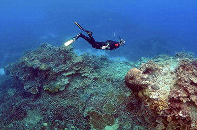 Diver swimming near the Great Barrier Reef