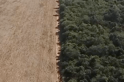 An aerial view shows deforestation near a forest on the border between Amazonia and Cerrado in Nova Xavantina, where two ecologists have spent so long studying the forests that they’ve befriended many of the trees.